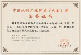 中国水利工程优质（大禹）奖荣誉证书